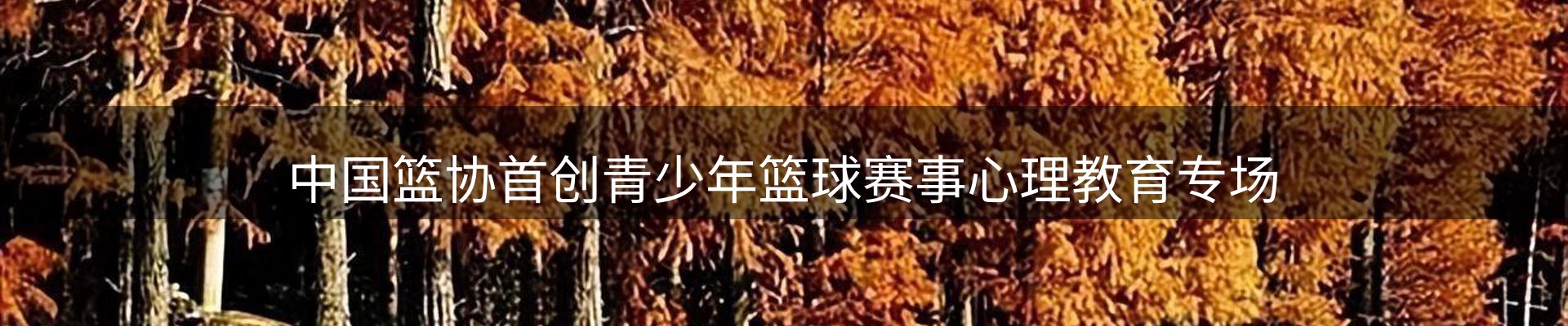 内页banner