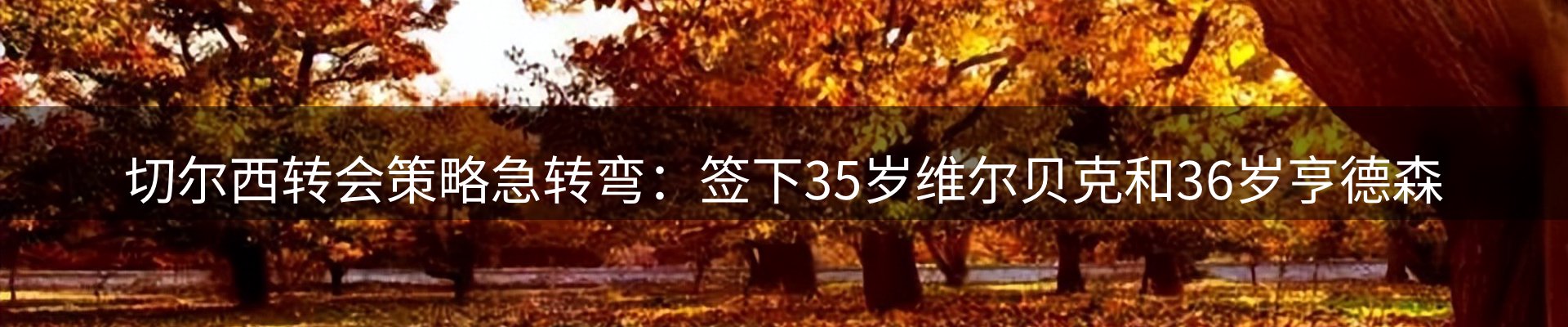 内页banner